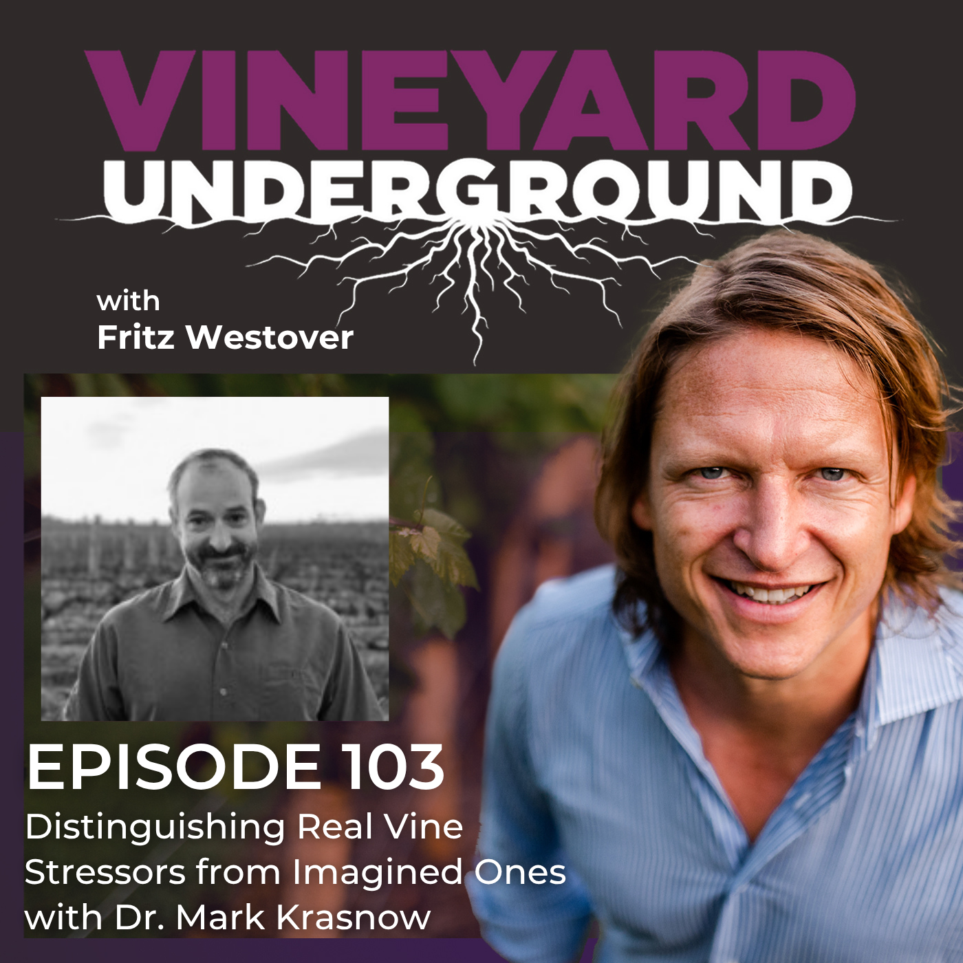 103: Distinguishing Real Vine Stressors from Imagined Ones with Dr. Mark Krasnow