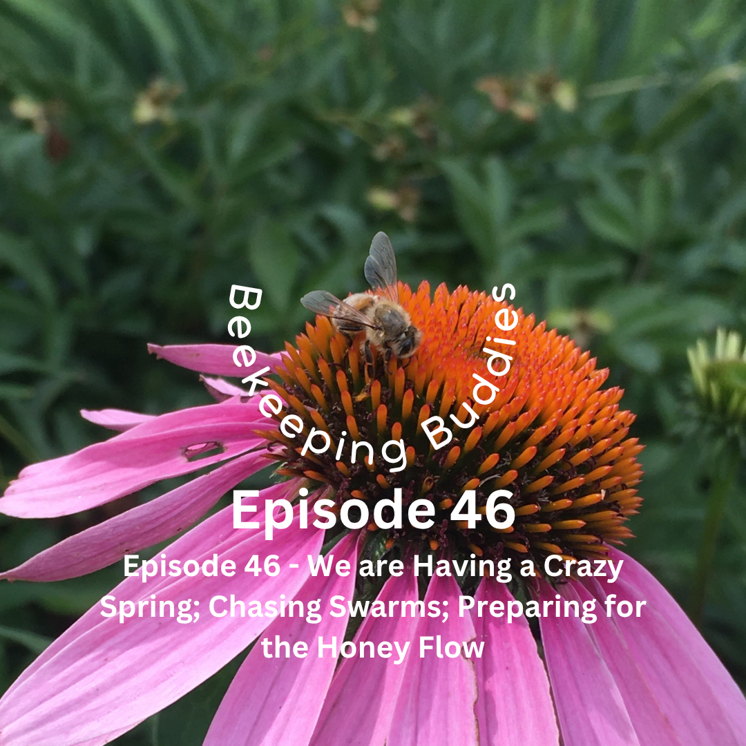 Episode 46 - We are Having a Crazy Spring; Chasing Swarms; Preparing for the Honey Flow