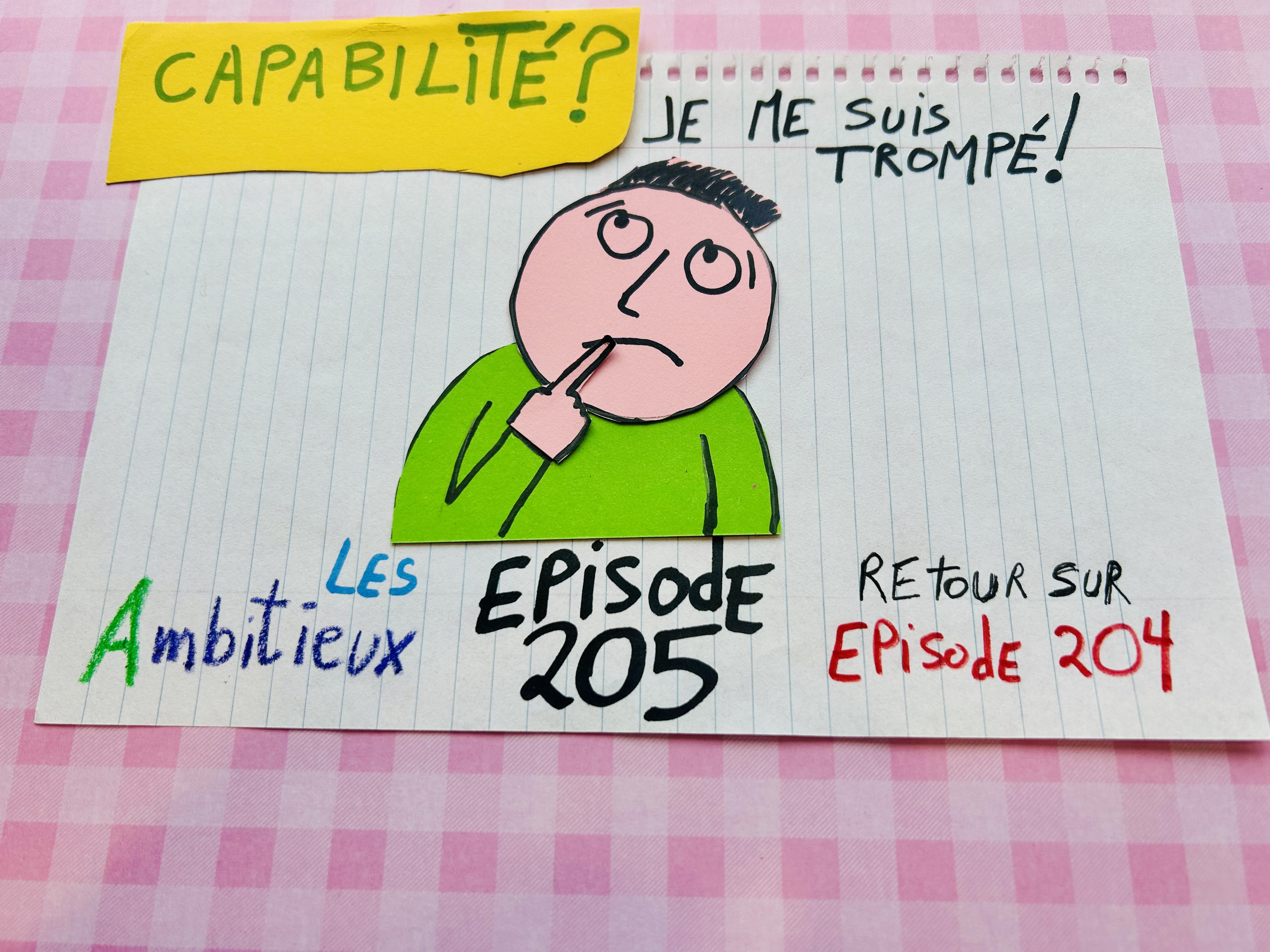 205. Capabilité? Je me suis trompé! (Retour sur l'épisode 204)