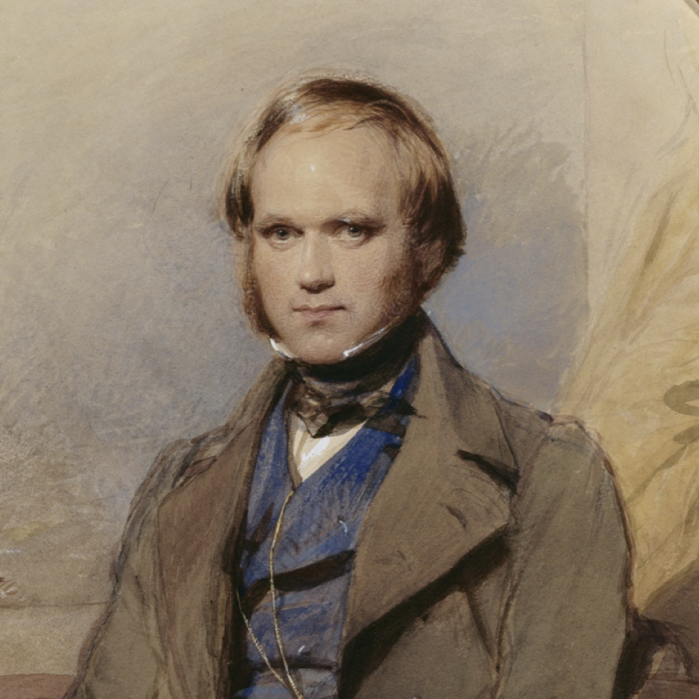 The origins of Darwin's ideas