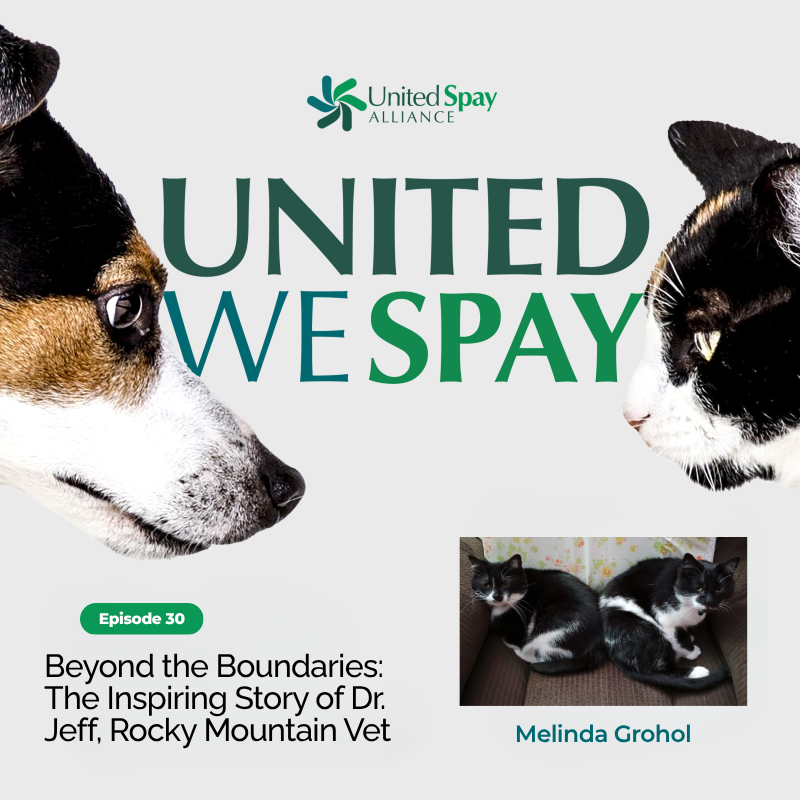 Beyond the Boundaries: The Inspiring Story of Dr. Jeff, the Rocky Mountain Vet with Melinda Grohol