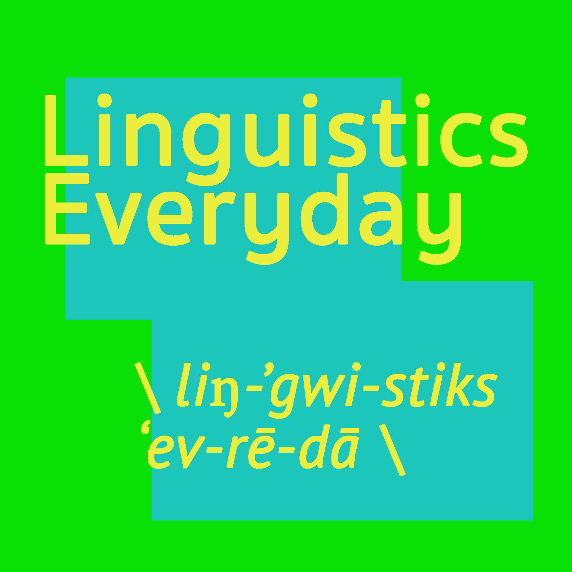 Lingua Pakistani