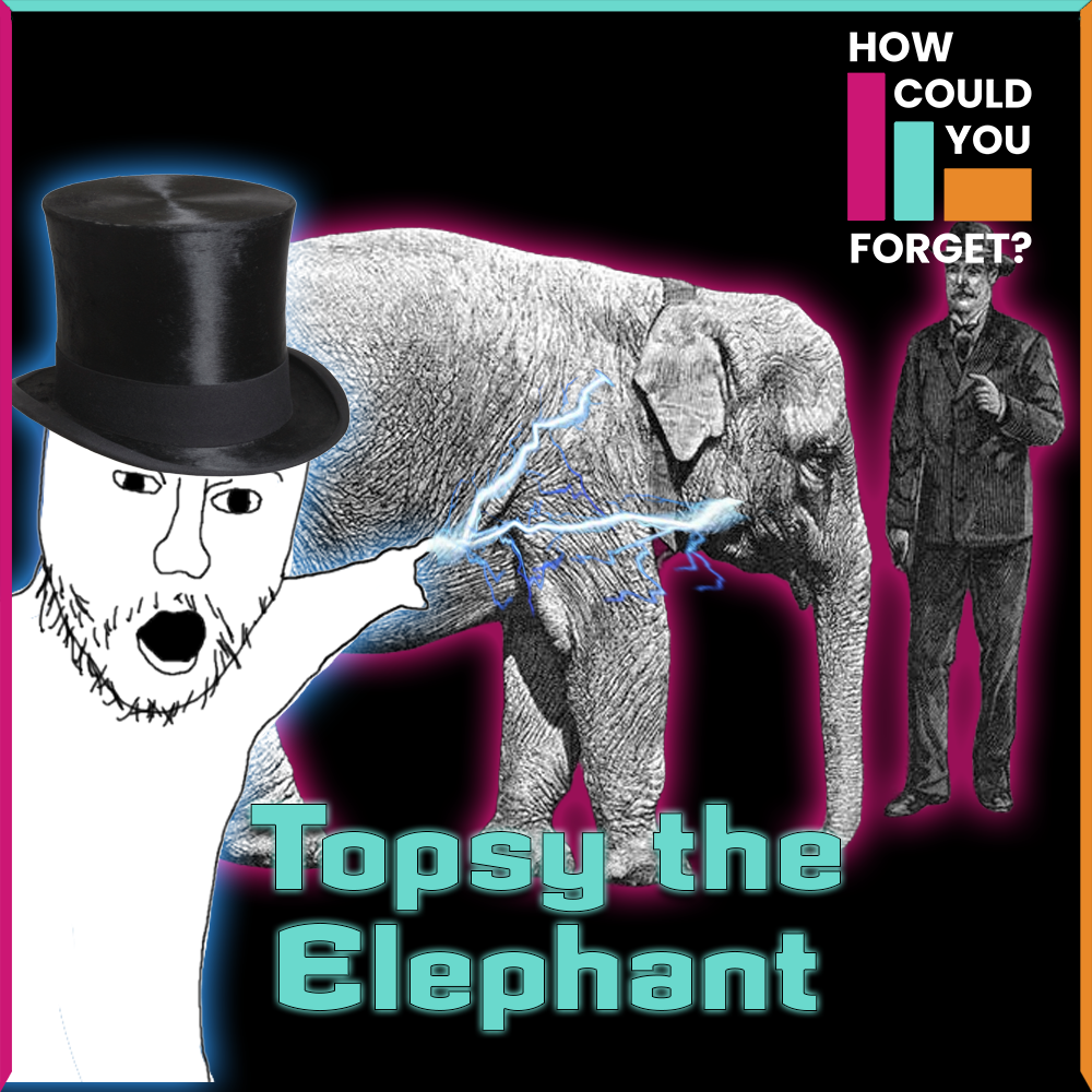 How Could You Forget: Topsy the Elephant