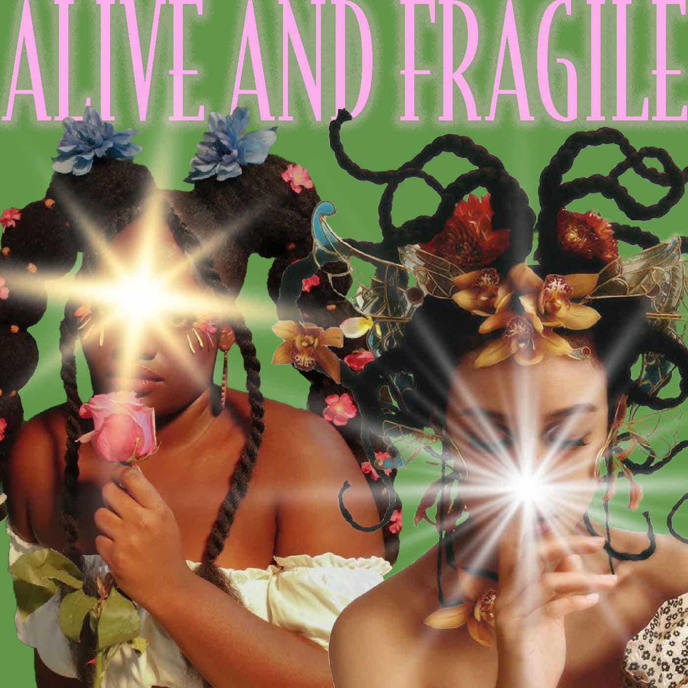 Alive & Fragile
