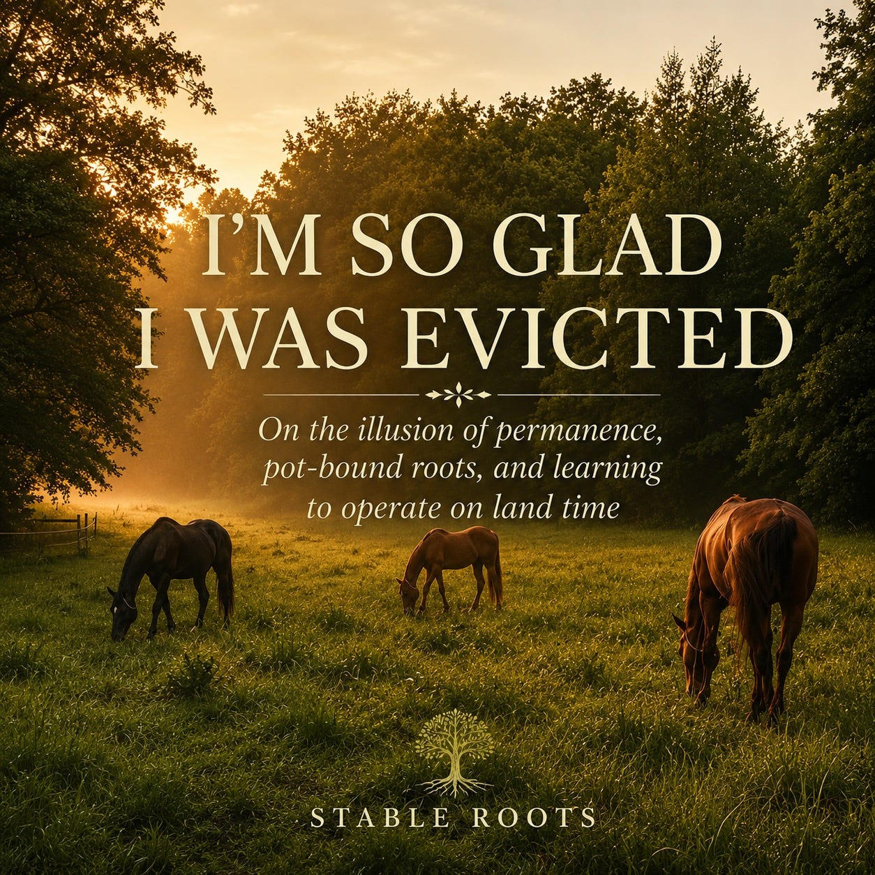 I'm So Glad I Was Evicted