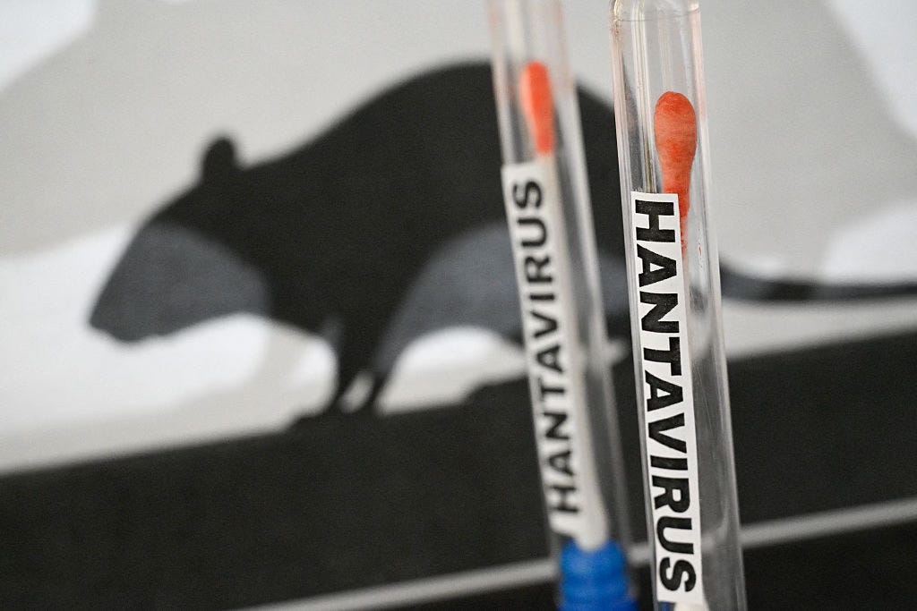 Hantavirus is a climate story