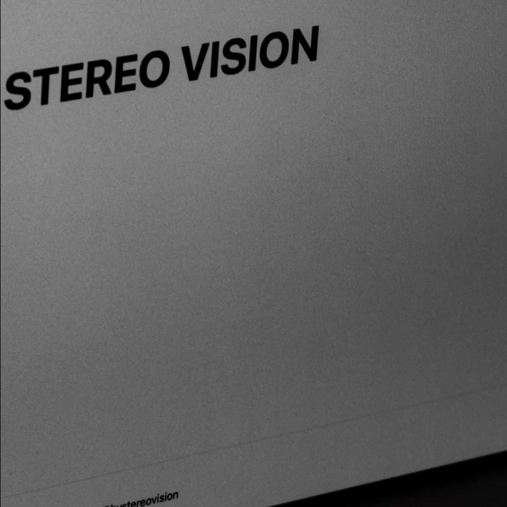 STEREO VISION