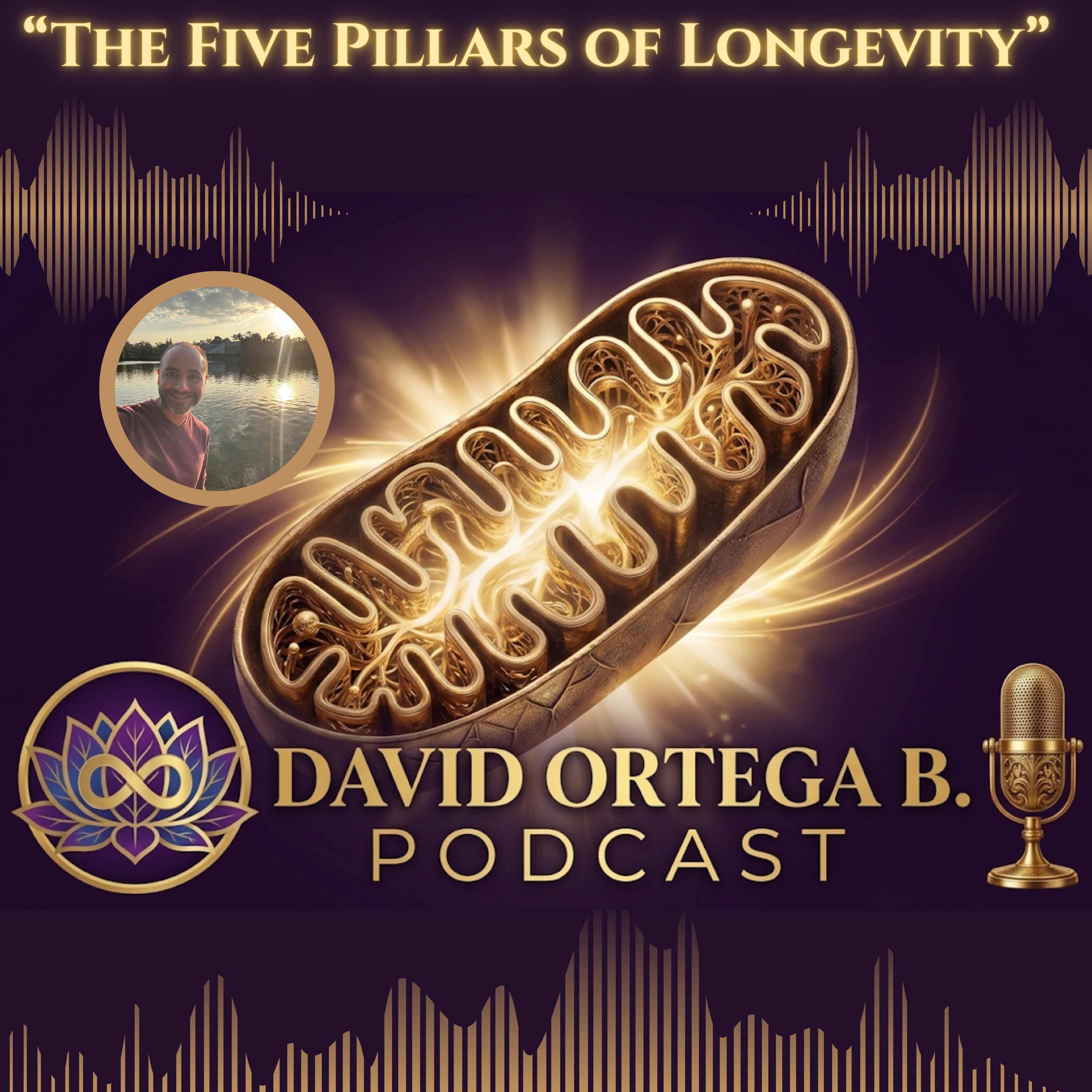 David Ortega B. Podcast