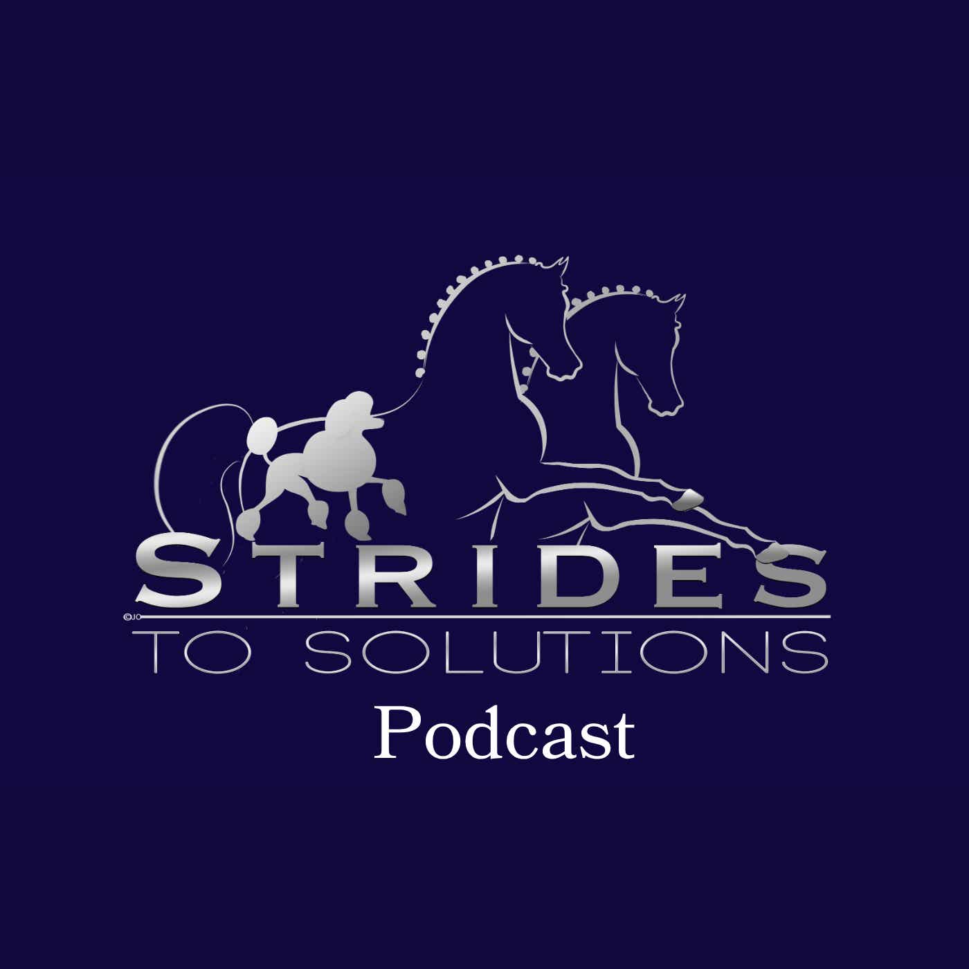 Strides To Solutions
