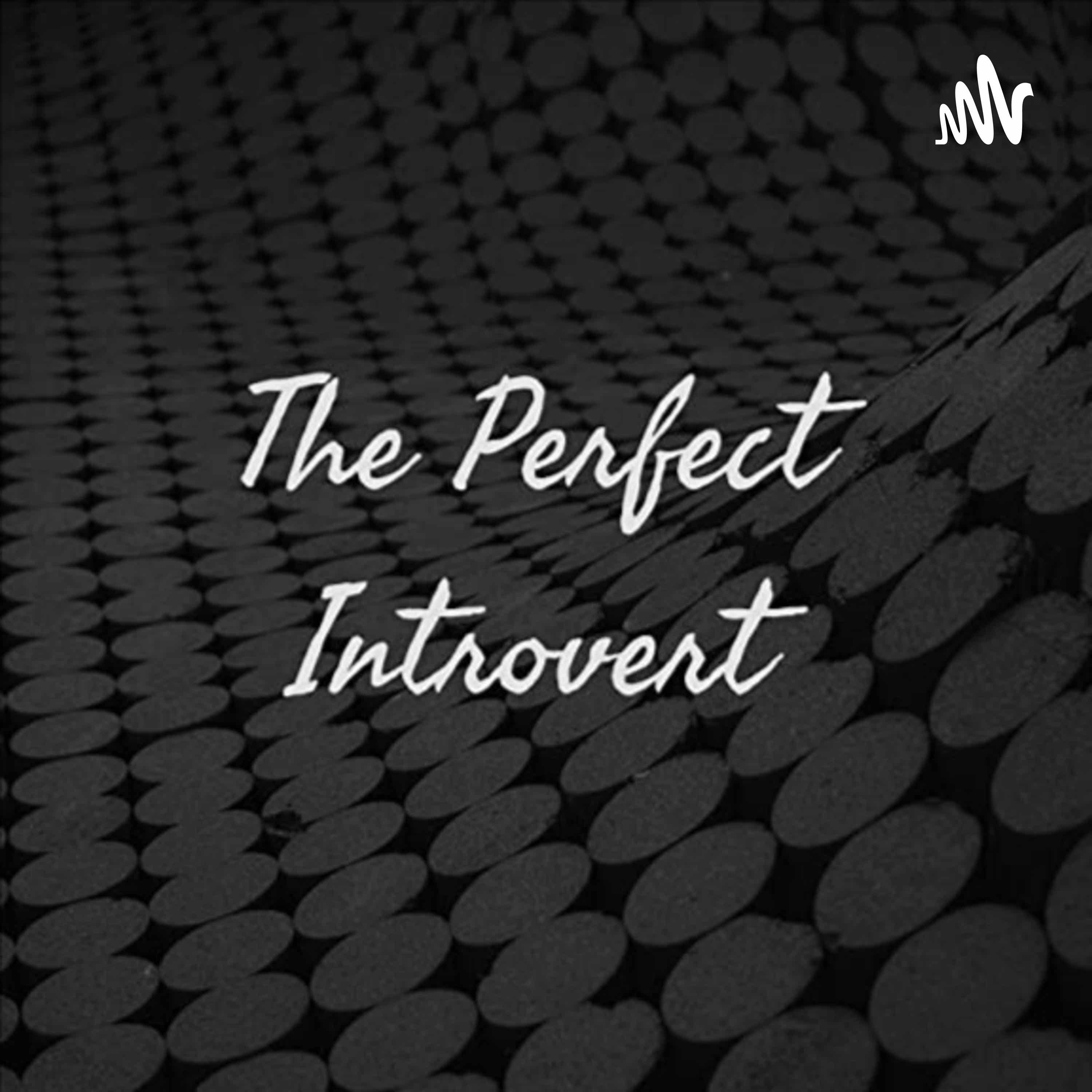 The Perfect Introvert