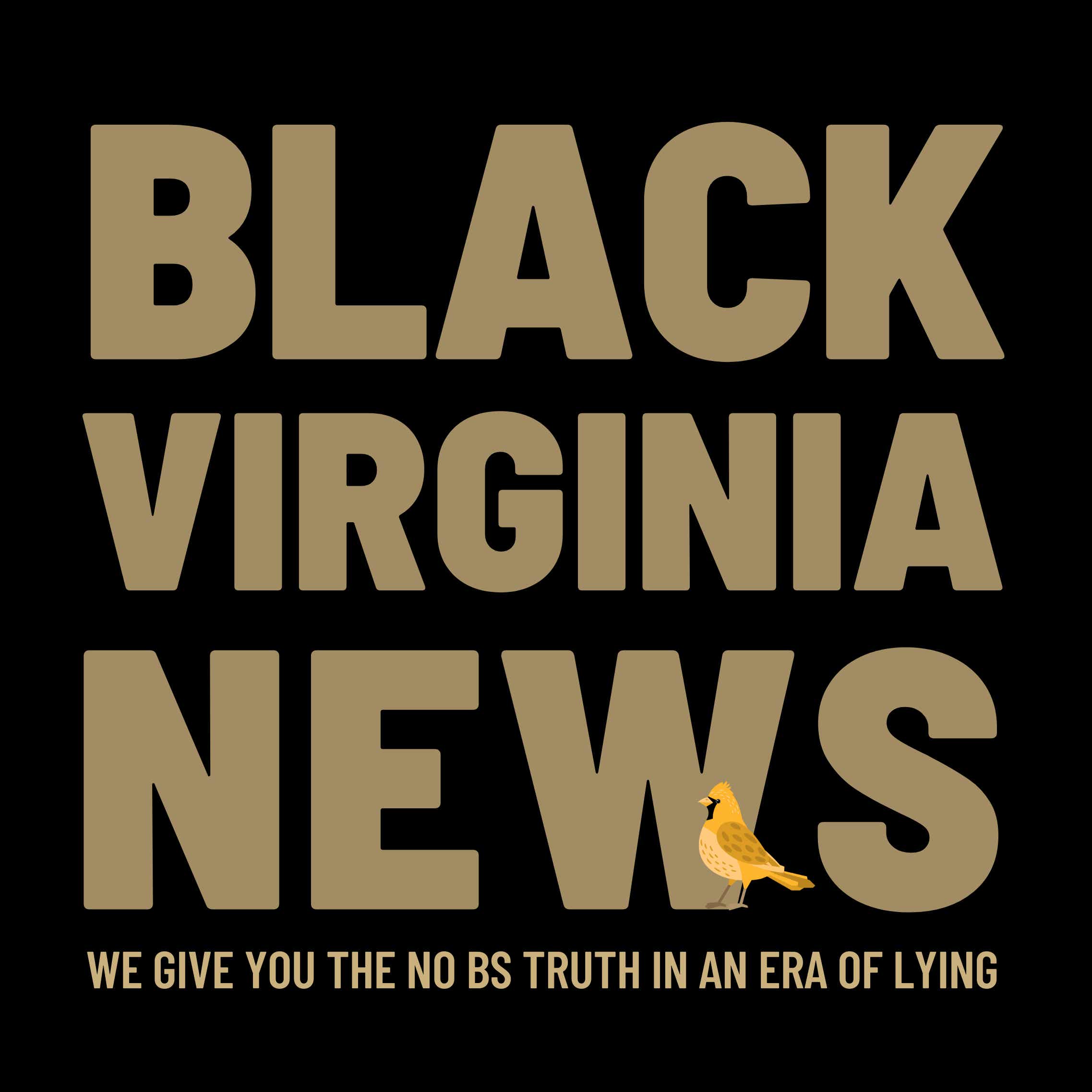BLACK VIRGINIA NEWS
