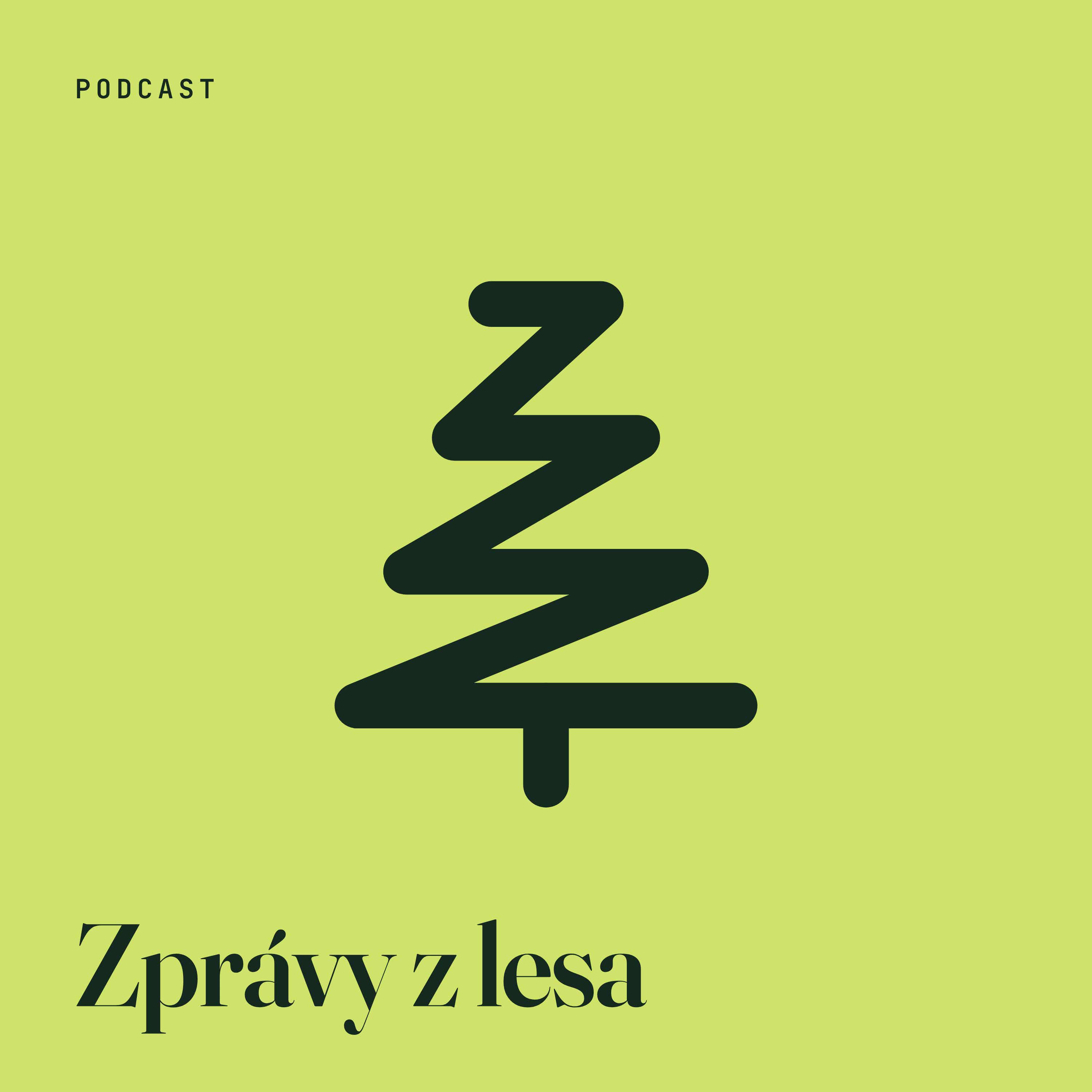 ZprÃ¡vy z lesa