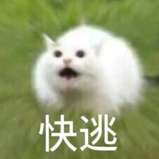友善迷因群