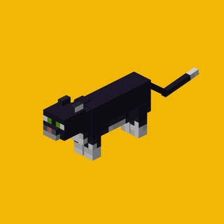 🐈‍⬛