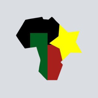 Africa Elects Official