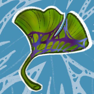 Arcane ZIN: Across Universes