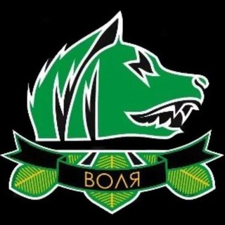Бар "Глоток Свободы"