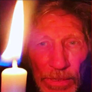 alex fjord