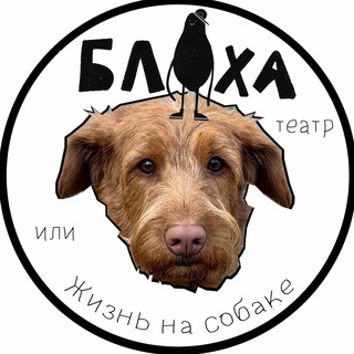 жизнь на собаке