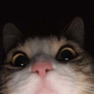 #больнобыть