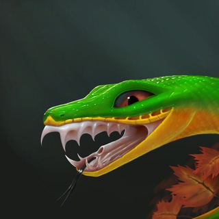 S N E K K O