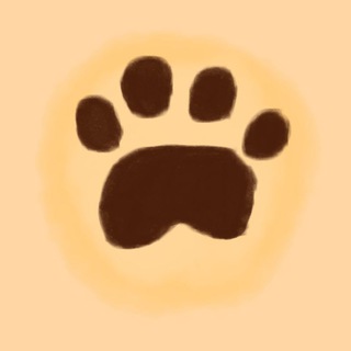 🐾Следуй за Кошками🌘 🌒✨🌌 🐾