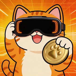 Catizen Announcement