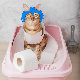 Кошачий лоток