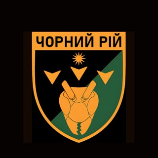 2 ББпС «Чорний рій»