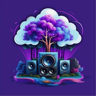 Cloud Forest