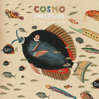 Cosmo Sheldrake Micro Zin