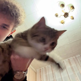 dazzary66