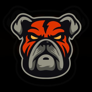 DDOG | Chat Portal