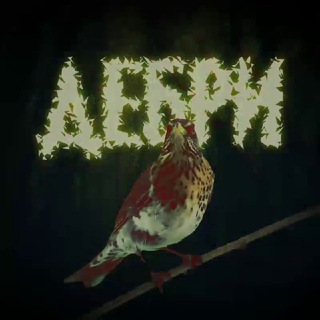 ДЕБРИ