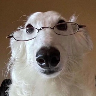 дидро щп