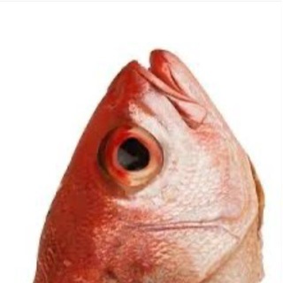 DIGITALFISH