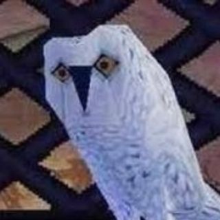 В гостях у Дорин 🦉