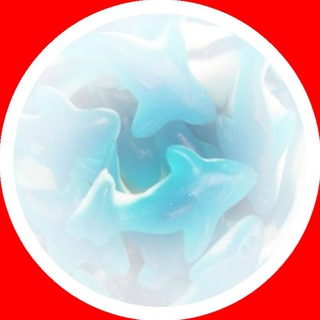 𝙄𝙣𝙛𝙤
