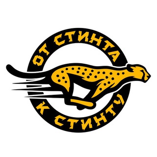 От стинта к стинту
