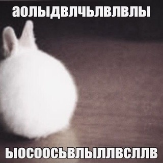 FUFA PLACE ПЕРЕХОДНИК🚑