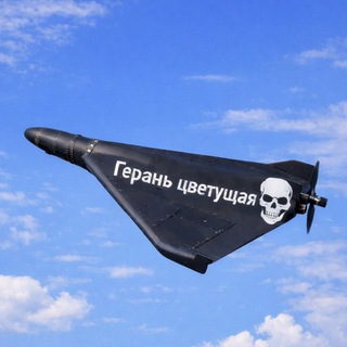 Герань Цветущая ™