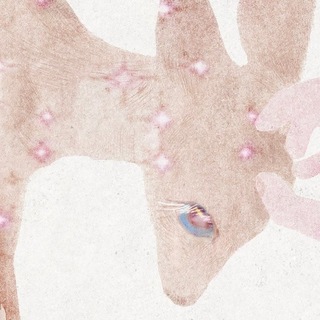 𝓗𝓪𝓻𝓾𝓴𝓸'𝓼 𝓑𝓪𝓴𝓮𝓻 ꒰ᐢ. .ᐢ꒱⁺‧₊🐿️