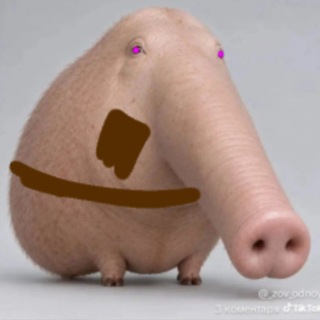 Хоутей