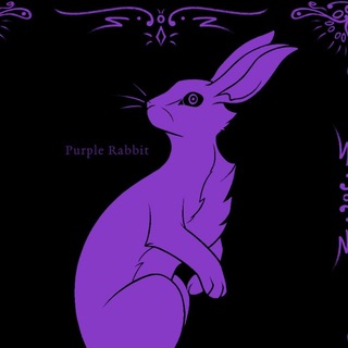 Purple Rabbit