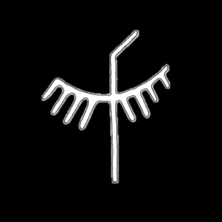 hyperonymus