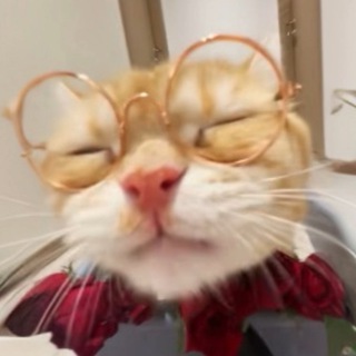illystray