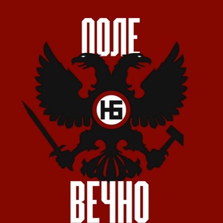 Поле Вечно🔻