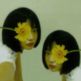 𝓲𝓷𝓯𝓸 𝓝𝓸𝓲 °•