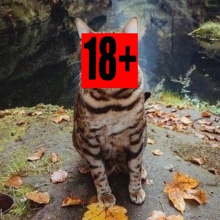 Клуп 18+
