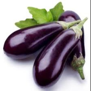 Смачные щп Куоро